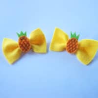 Pineapple Bows