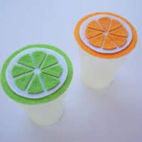 DIY Summer Citrus Cup Cover