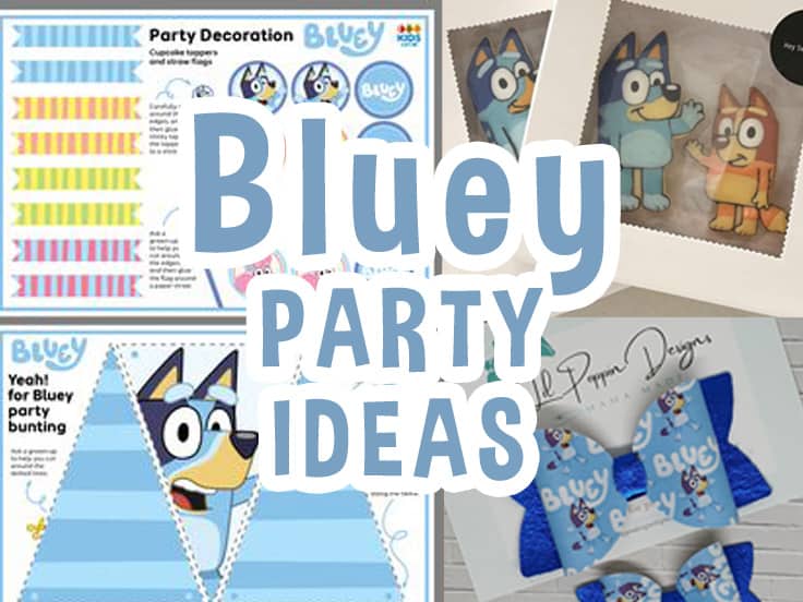 Bluey Party Ideas Party With Unicorns