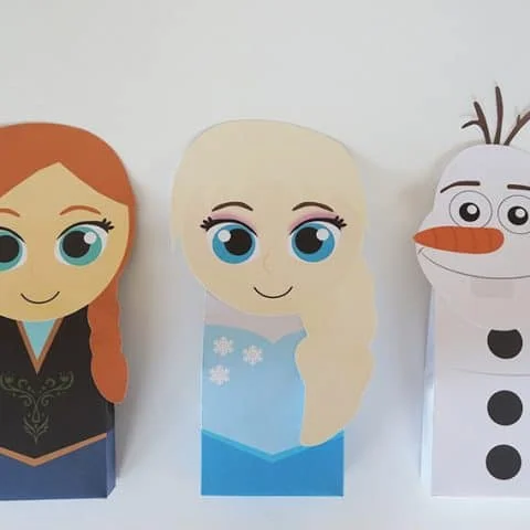 Frozen Favor Bag