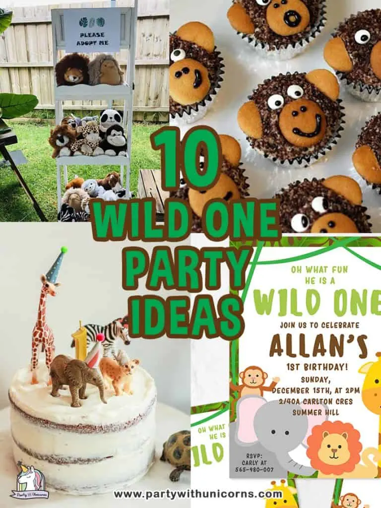 Wild One Party ideas 