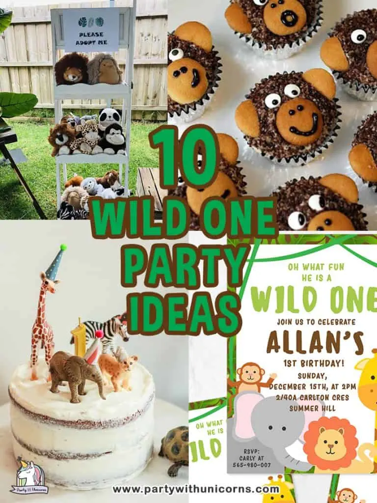 Download 10 Fun Wild One Party Ideas