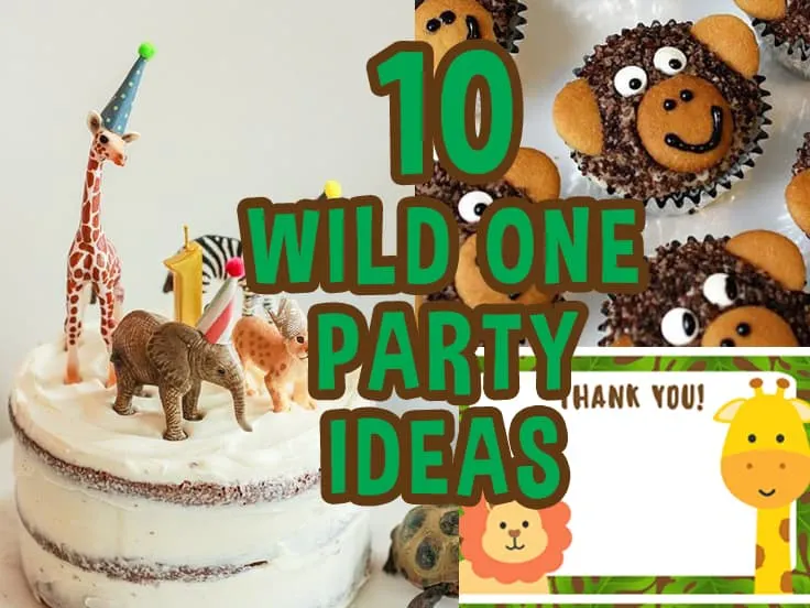 WIld One birthday party ideas