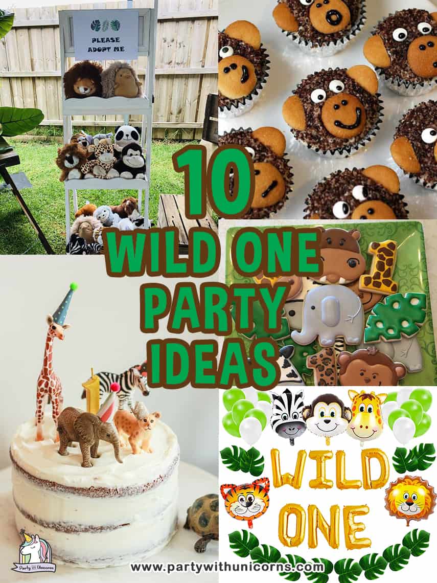 Wild one party ideas