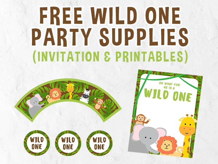 Download Wild One Party Printables Free Download