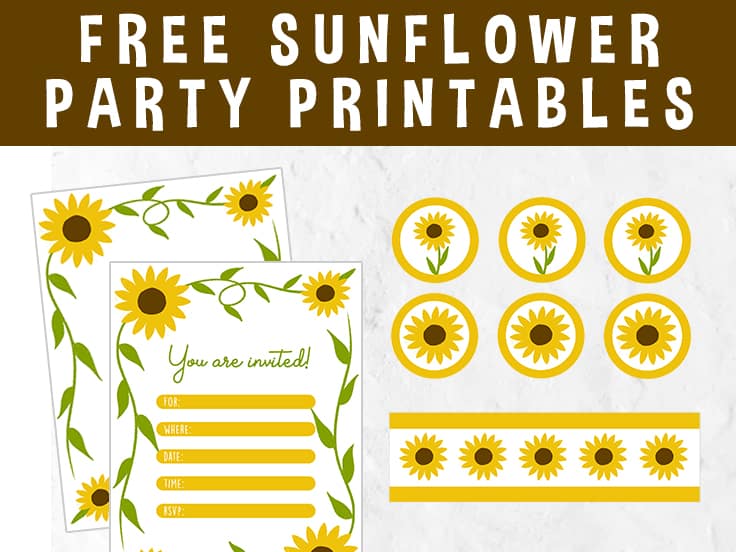 DIY Sunflower Favor Box Party With Unicorns