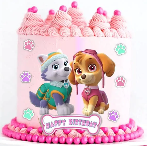 aflange landing Athletic 25 Paw Patrol Cake Ideas - Supplies, Tutorials and Recipes