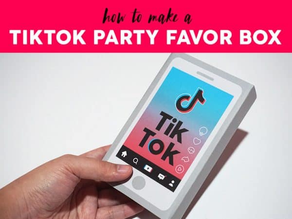 TikTok Favor Box
