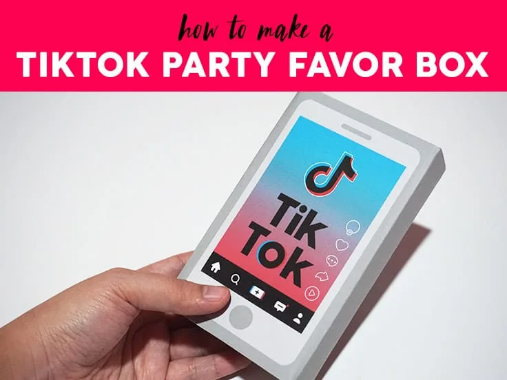 TikTok Favor Box