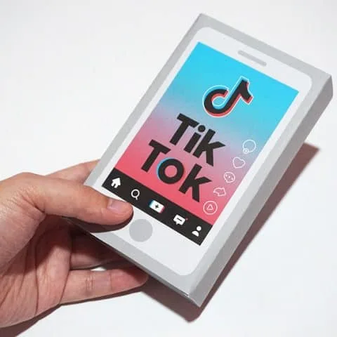 TikTok Party Favor Box