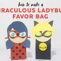 Miraculous Ladybug Favor Bag image