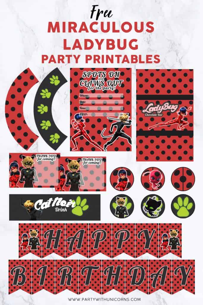 Miraculous Ladybug Pinterest Tile - Party Printables image